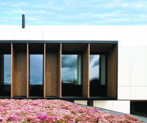 Dom ze skośnym dachem - projekt - Miłosz Stopiński