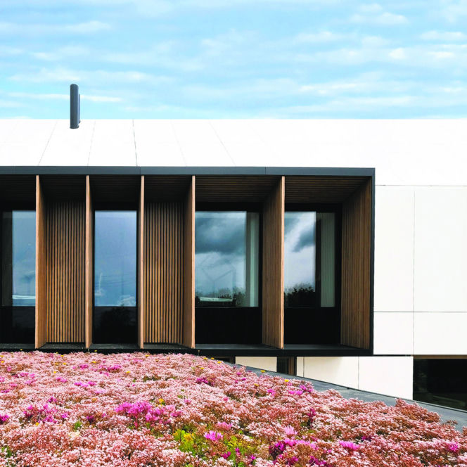 Dom ze skośnym dachem - projekt - Miłosz Stopiński