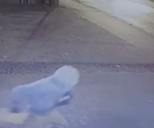 Wybili szybę i okradli lombard. Łup chcieli sprzedać bratu pokrzywdzonego