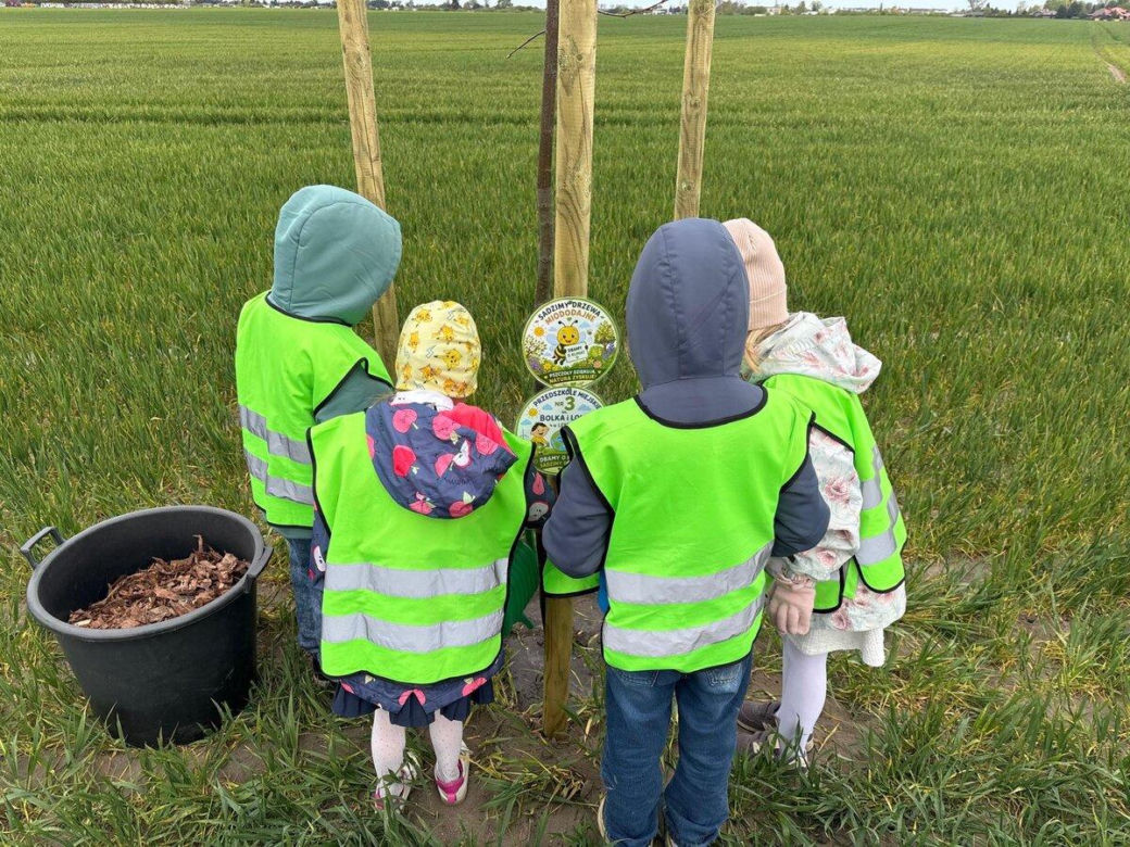 Zazieleni się Trojanowskiego w Lesznie. Przy ulicy posadzono drzewa