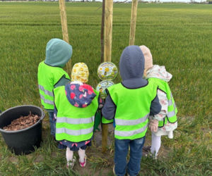 Zazieleni się Trojanowskiego w Lesznie. Przy ulicy posadzono drzewa