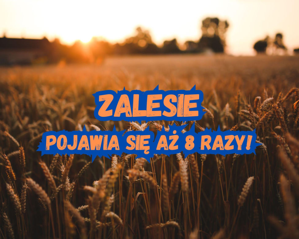 Zalesie